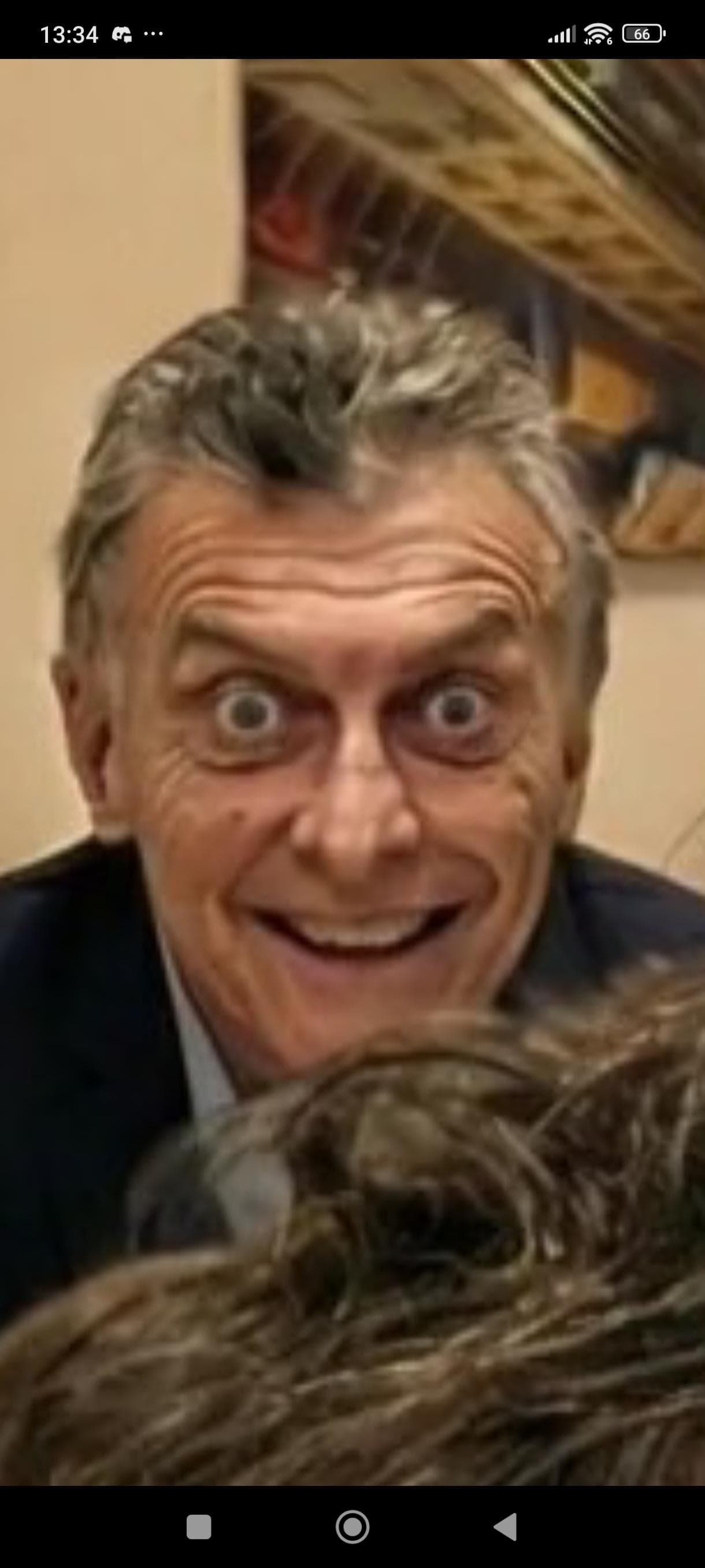 Macri Gato Cursed Image