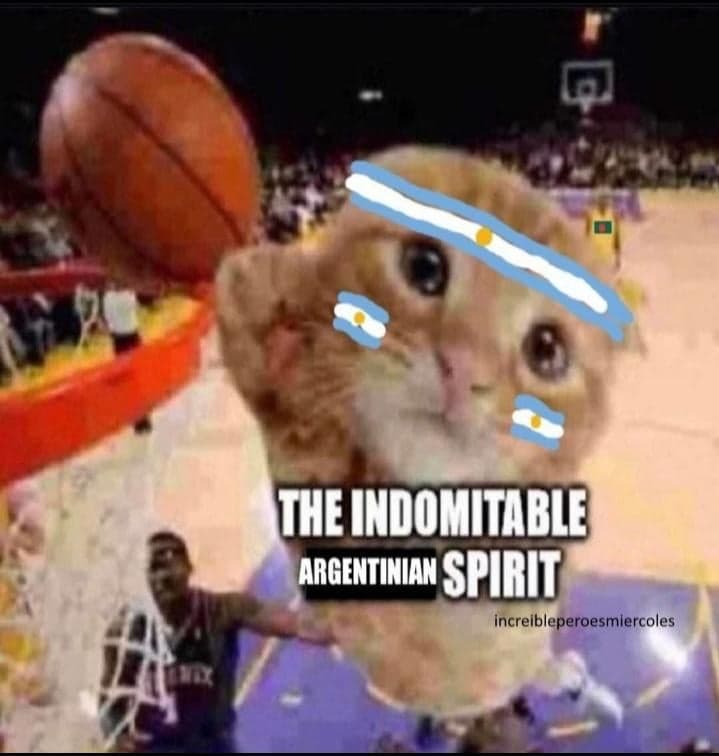 Crying Cat Dunks on You With Argentine Pride