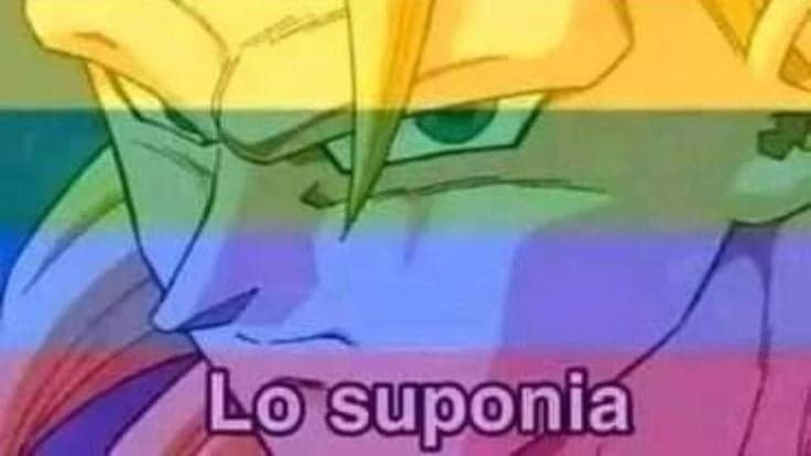 Trunks Had a Rainbow Feeling All Along