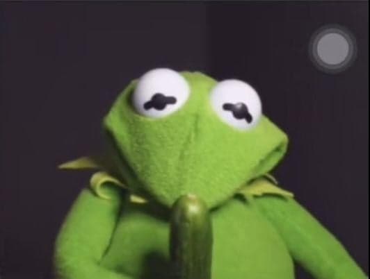 Kermit Looks Up With Nervous Expression
