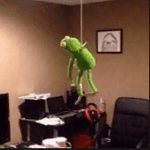 Kermit Plush Hanging From Ceiling Dark Humor