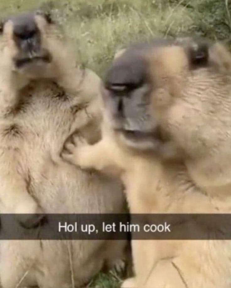 Hol Up Let Him Cook Prairie Dogs