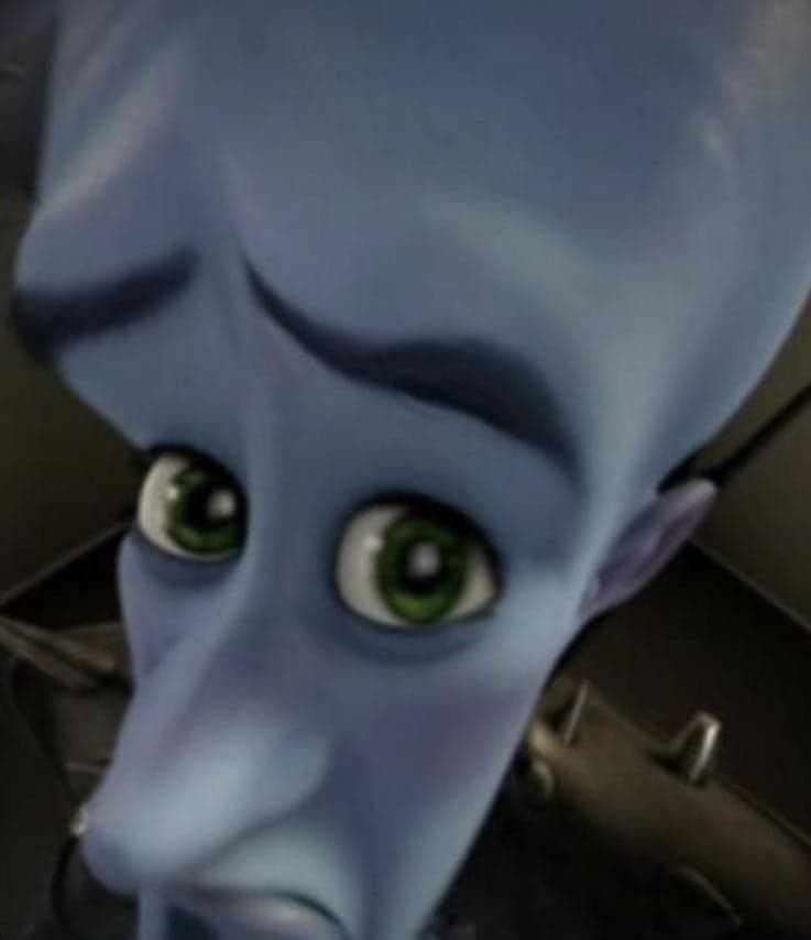 Megamind No Bitches Knowing Stare