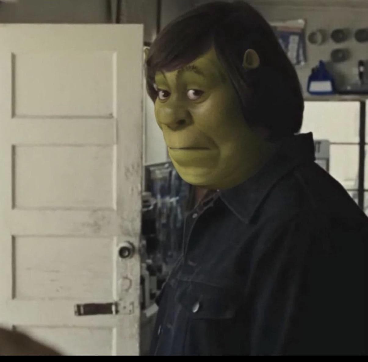 Disappointed Shrek Side Eye