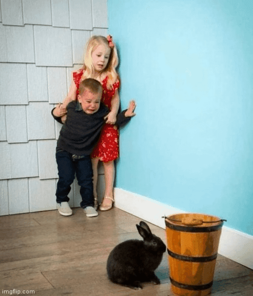 Kids More Terrified of Bunny Than Expected