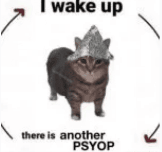 Cat Wakes Up to Yet Another Psyop