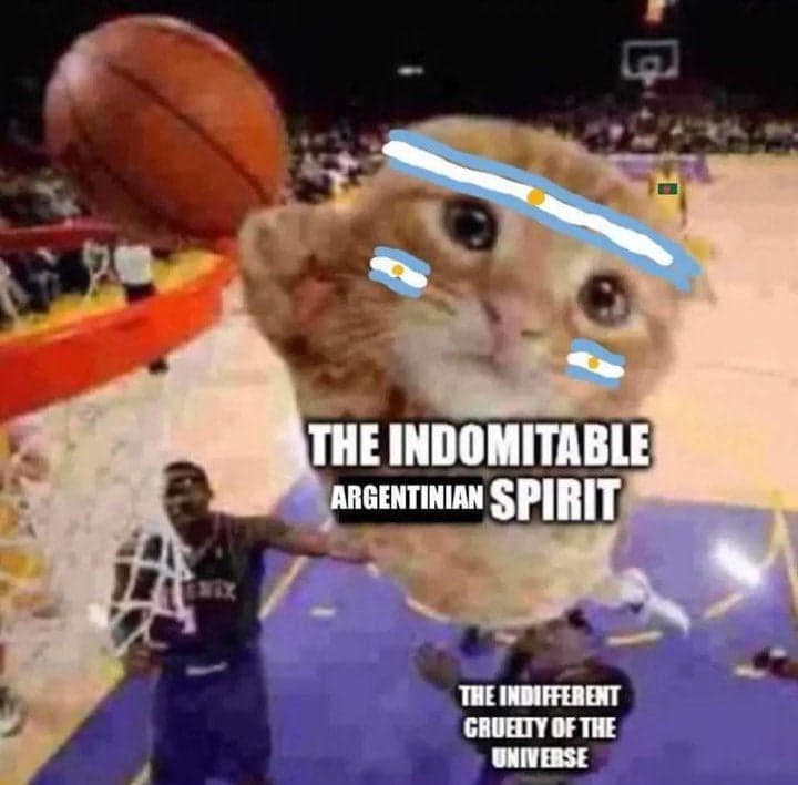 Crying Cat Argentinian Spirit