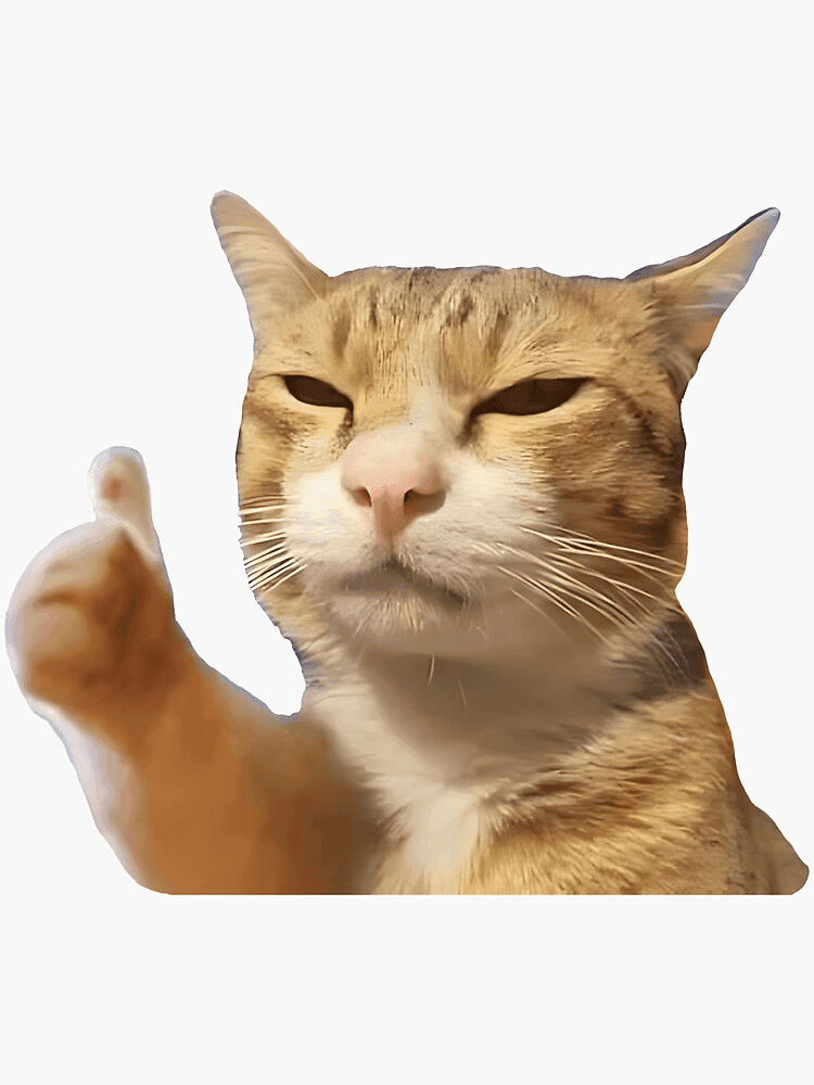 Orange Cat Gives You the Thumbs Up
